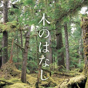 新しい「木のはなし」を公開しました！